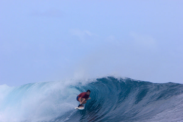 Indo Dreaming